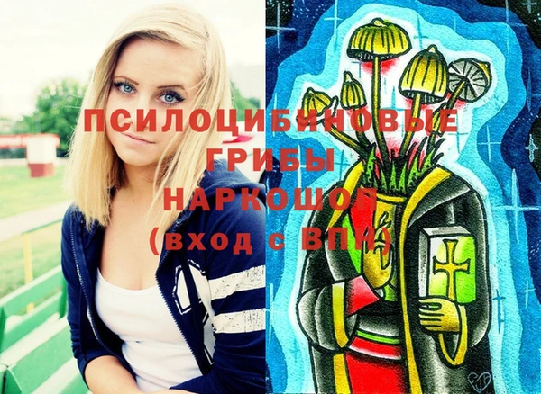PSILOCYBIN Валдай